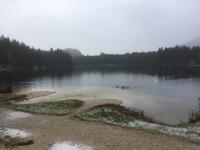 Am Hintersee im Zauberwald