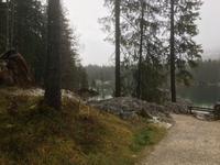 Am Hintersee im Zauberwald