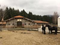 Weihnachten auf Gut Aiderbichl