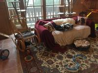 Weihnachten auf Gut Aiderbichl