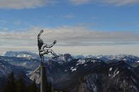 Auf dem Rauschberg bei Ruhpolding