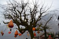 Aufenthalt in Hallstatt am Hallstätter See