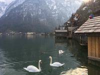 Aufenthalt in Hallstatt am Hallstätter See