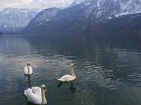 Aufenthalt in Hallstatt am Hallstätter See