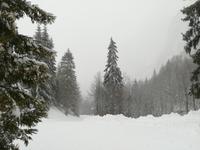 Wanderung im Kaiserbachtal