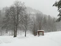 Wanderung im Kaiserbachtal