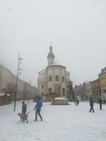 Schneegestöber in Traunstein