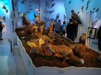 Im Haus der Berge in Berchtesgaden