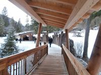 am Wildgehege Hintersee