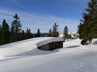 unterwegs auf dem Predigtstuhl