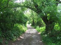 Wanderweg im Sazavatal