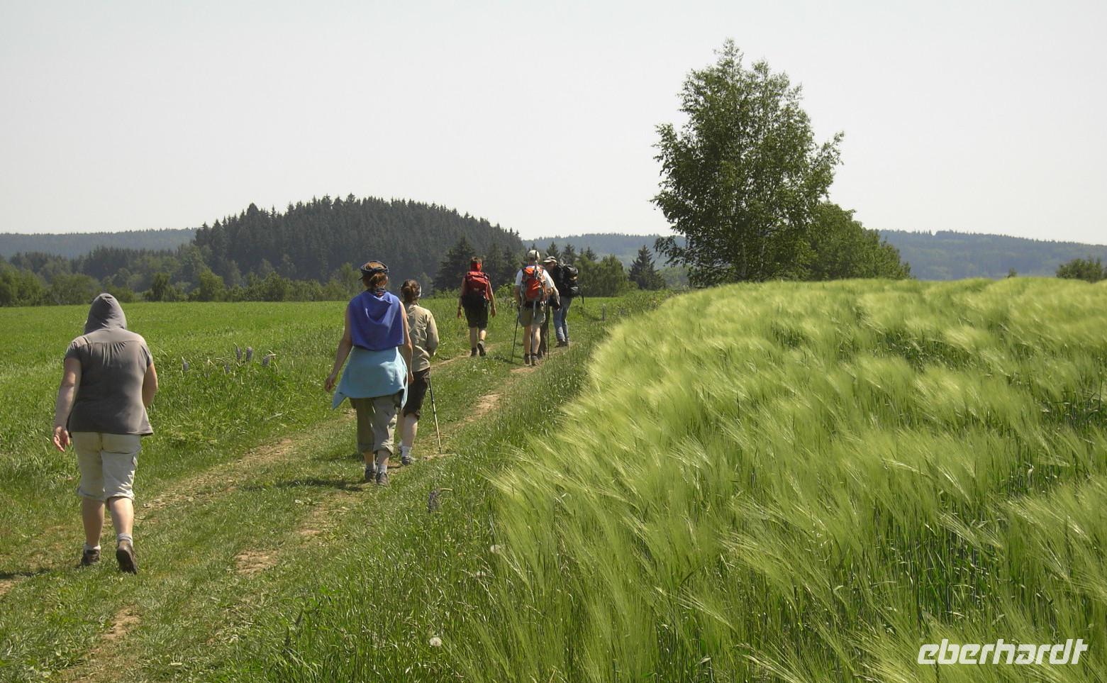 Wandern im böhmisch-mährischen Hochland
