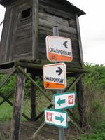 Weinwanderwege im Weinviertel