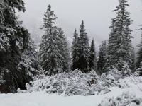 094_Auf dem Predigtstuhl_2