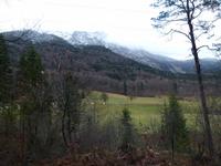 117_Wanderung zur Niederalm_4