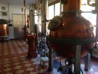 511_Enzianbrennerei Grassl