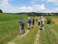 im Vysocina nach Telc