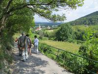 Weg nach Kahlenbergerdorf