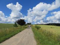 Radweg nach Rosteijn