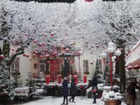 DSCN4971Weihnachtliche Dekoration