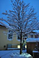 Silvester im Berchtesgadener Land