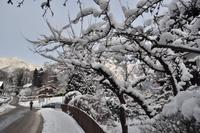 Silvester im Berchtesgadener Land