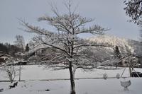 Silvester im Berchtesgadener Land