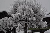 Ausflug nach Tirol, Reit im Winkl