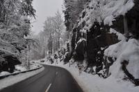Auf dem Weg nach Hintersee im Berchtesgadener Land