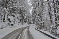 Auf dem Weg nach Hintersee im Berchtesgadener Land