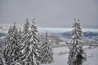 Roßfeldhöhenstraße im Berchtesgadener Land