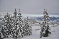 Roßfeldhöhenstraße im Berchtesgadener Land