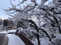 Silvester im Berchtesgadener Land