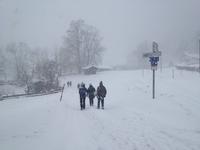 Wanderung zur Niederalm