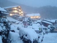 Wanderung zur Niederalm