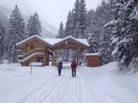 Wanderung zur Griesner Alm im Kaiserbachtal am Wilden Kaiser, Tirol, Österreich
