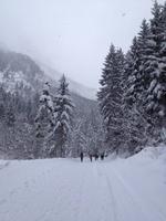 Wanderung zur Griesner Alm im Kaiserbachtal am Wilden Kaiser, Tirol, Österreich
