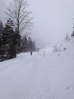 Wanderung zur Griesner Alm im Kaiserbachtal am Wilden Kaiser, Tirol, Österreich