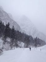 Wanderung zur Griesner Alm im Kaiserbachtal am Wilden Kaiser, Tirol, Österreich