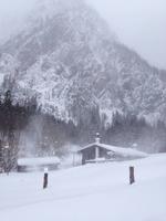 Wanderung zur Griesner Alm im Kaiserbachtal am Wilden Kaiser, Tirol, Österreich