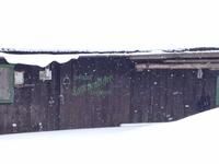 Wanderung zur Griesner Alm im Kaiserbachtal am Wilden Kaiser, Tirol, Österreich