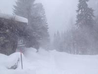 Wanderung zur Griesner Alm im Kaiserbachtal am Wilden Kaiser, Tirol, Österreich