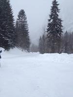 Wanderung zur Griesner Alm im Kaiserbachtal am Wilden Kaiser, Tirol, Österreich