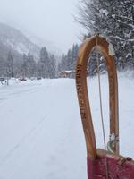 Wanderung zur Griesner Alm im Kaiserbachtal am Wilden Kaiser, Tirol, Österreich