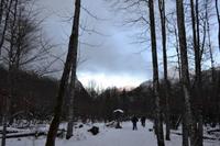 Am Königssee