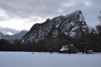 Am Königssee