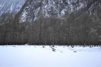 Am Königssee
