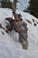 Auf dem Rauschberg bei Ruhpolding