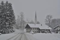 Ausflug nach Tirol