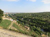 Blick auf die Thaya von Znojmo
